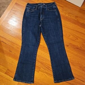 Old Navy Dark Blue Flare Jeans